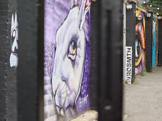 Обзор Sony Xperia 1 VII: телефон, от которого я не мог оторваться фото