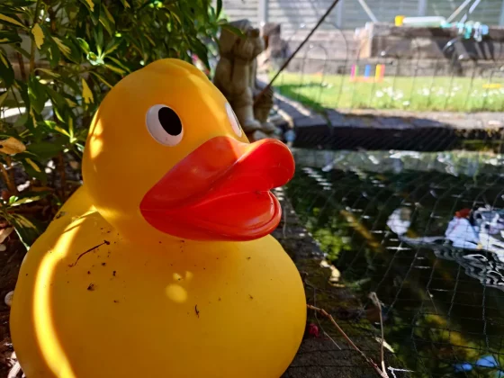 Обзор Sony Xperia 1 VII: телефон, от которого я не мог оторваться фото