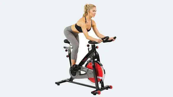 Sunny Health & Fitness Indoor Cycle Bike