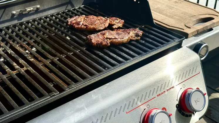 Выбираем гриль — для кухни, балкона и пикников фото