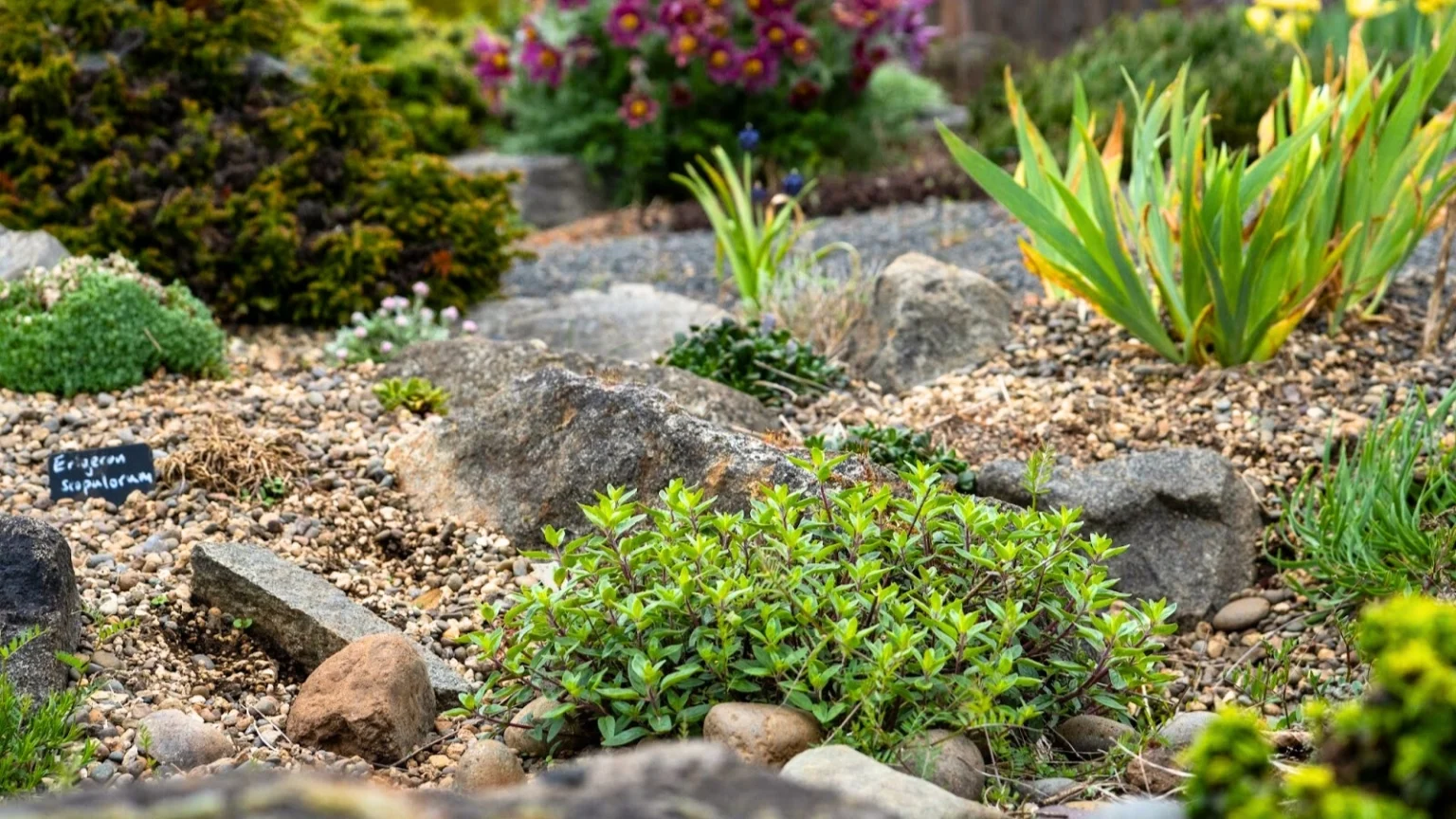 Создайте сад камней