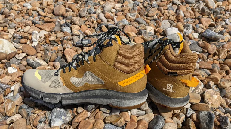 Salomon Predict Hike Mid