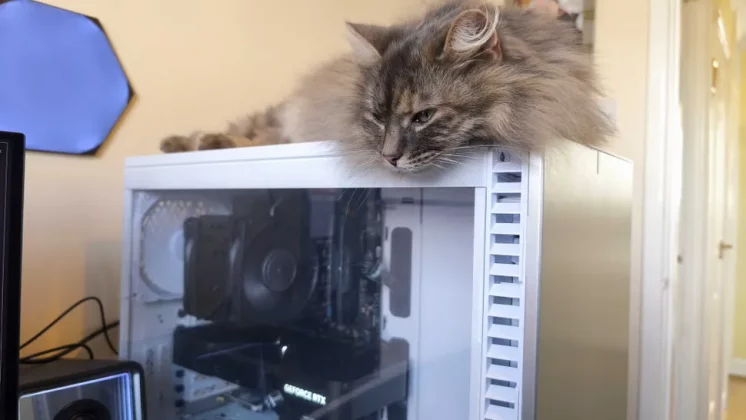 Nvidia GeForce RTX 5090 FE-6