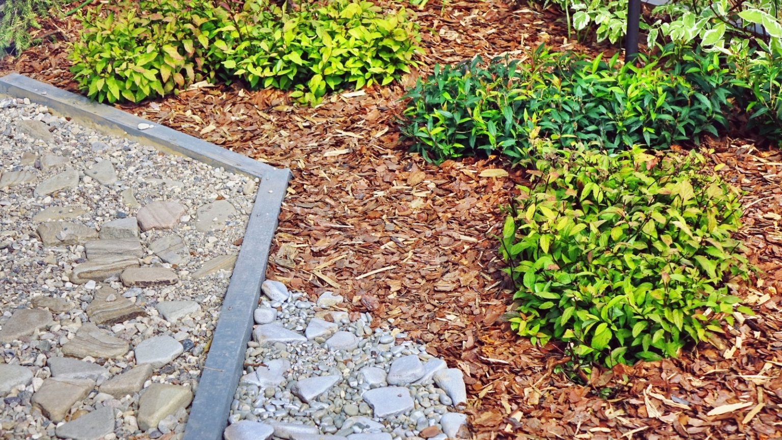 Мульчируйте голую почву