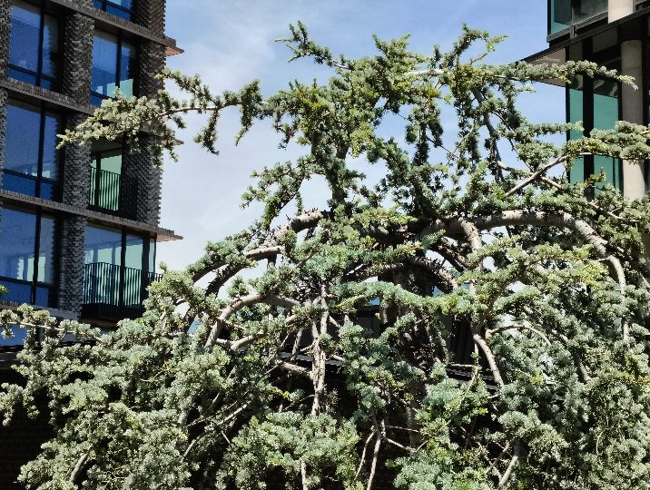 Infinix GT 30 Pro 5G