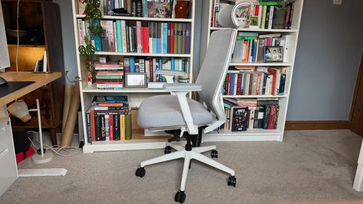 Branch Ergonomic Chair Pro-6