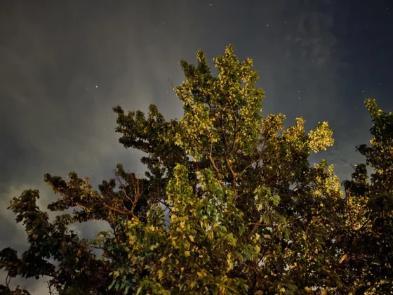 Лучшие телефоны Samsung-7