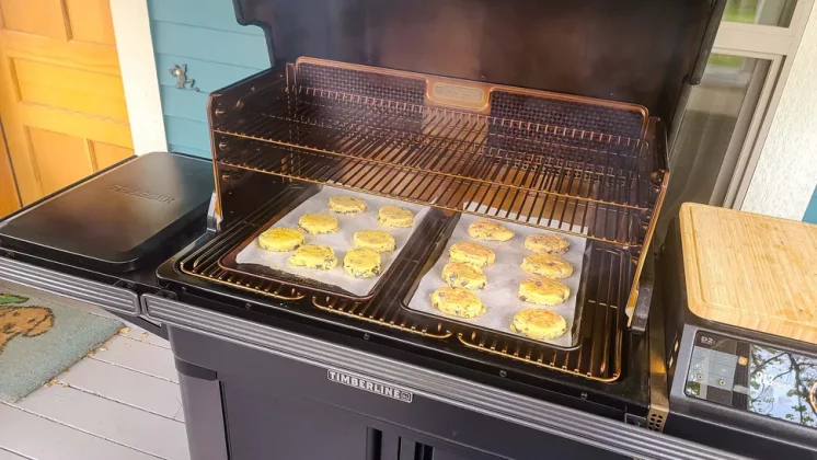 Выбираем гриль — для кухни, балкона и пикников фото