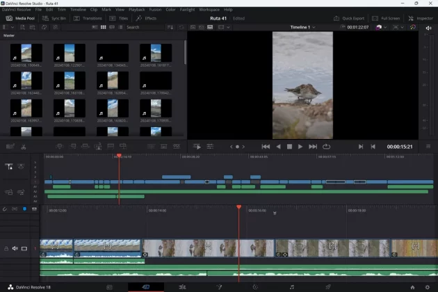 DaVinci Resolve 19-2