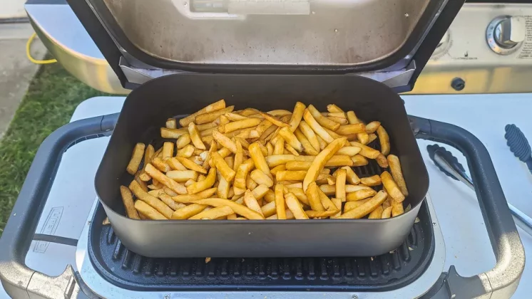 Выбираем гриль — для кухни, балкона и пикников фото