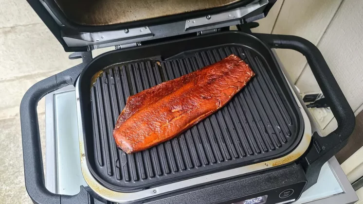 Выбираем гриль — для кухни, балкона и пикников фото