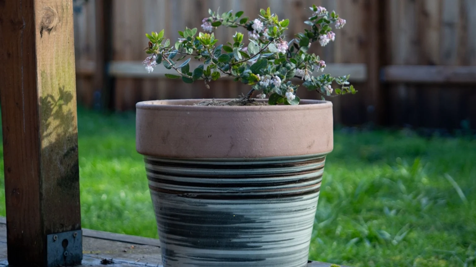 Используйте элегантные контейнеры