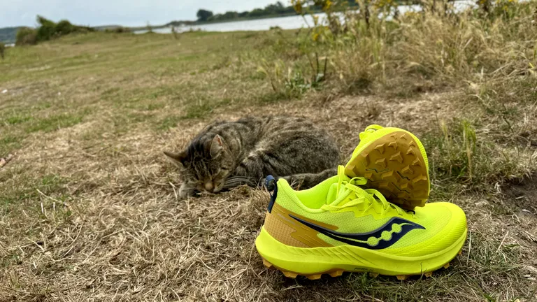 Saucony Peregrine 14-2