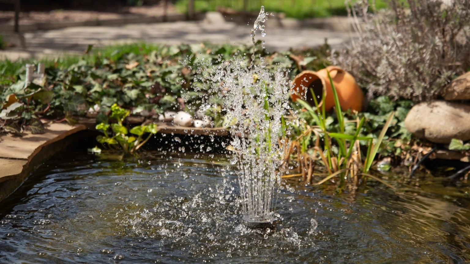 Добавьте функцию "Вода"