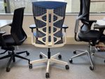ErgoChair Plus office chair