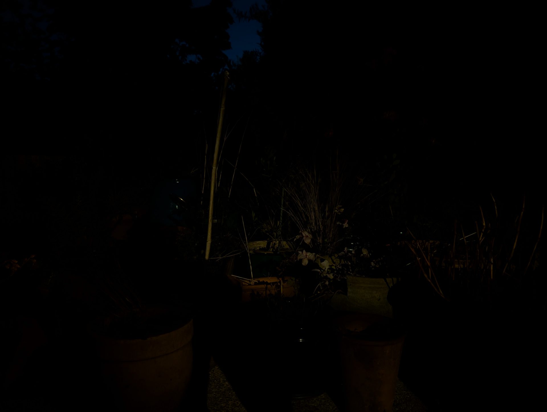 Сравнение камер, Galaxy S25 Ultra, Pixel 9 Pro, OnePlus 13