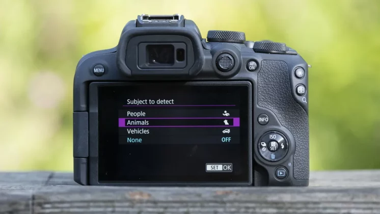 беззеркальная камера для начинающих