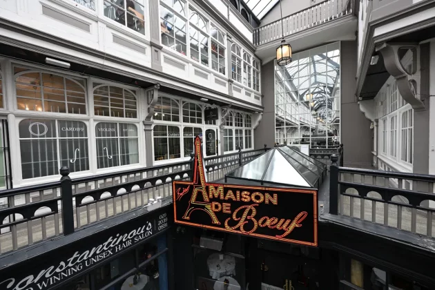 беззеркальные камеры