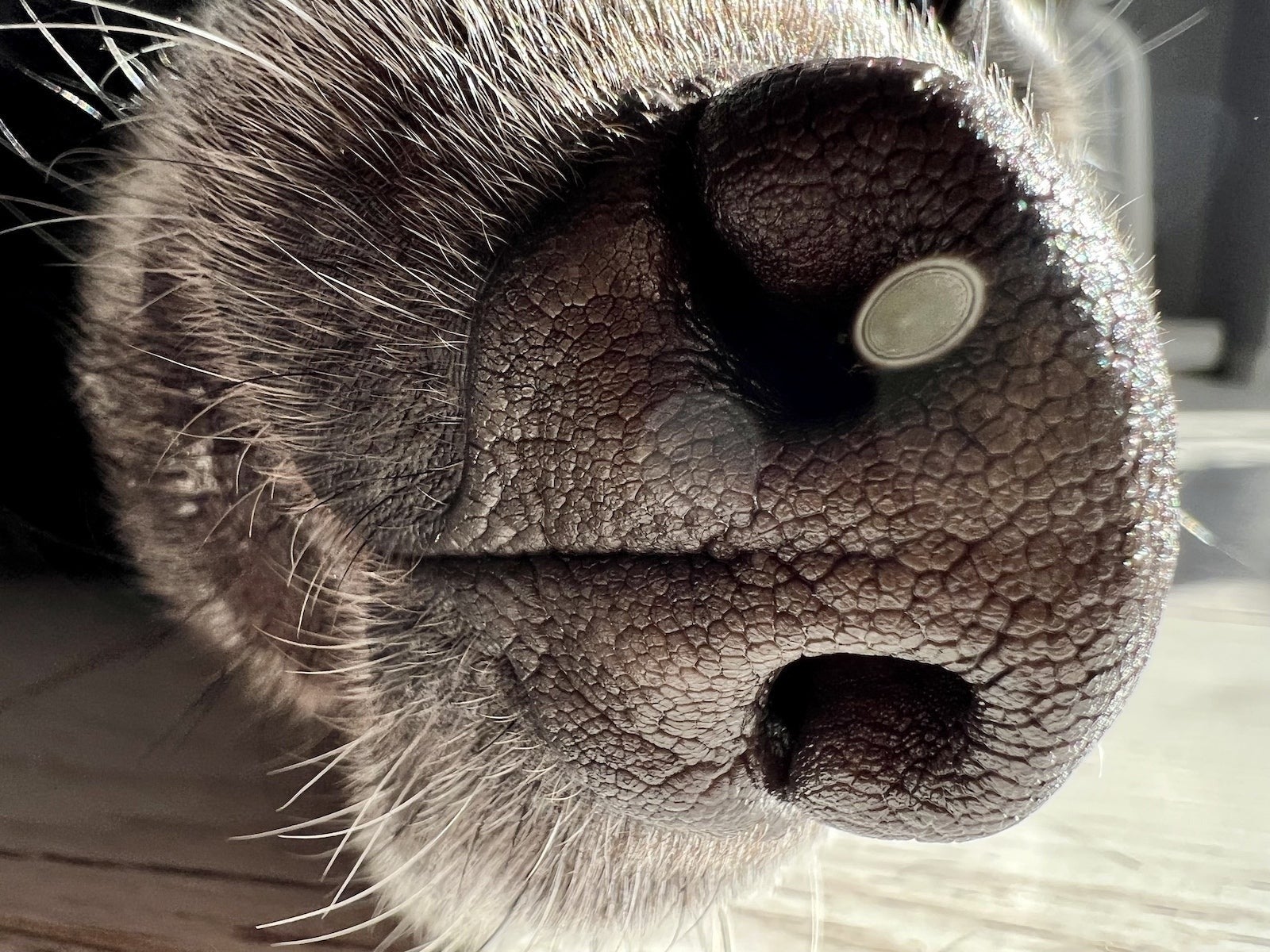 Pixel 10 с «плохой» камерой – прорыв или провал? фото