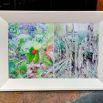 цифровые фоторамки