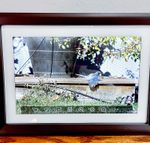 цифровые фоторамки