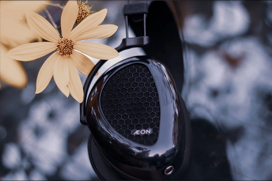 Обзор Dan Clark Aeon Flow RT: прочность и невероятный звук картинка Dan Clark Aeon Flow RT