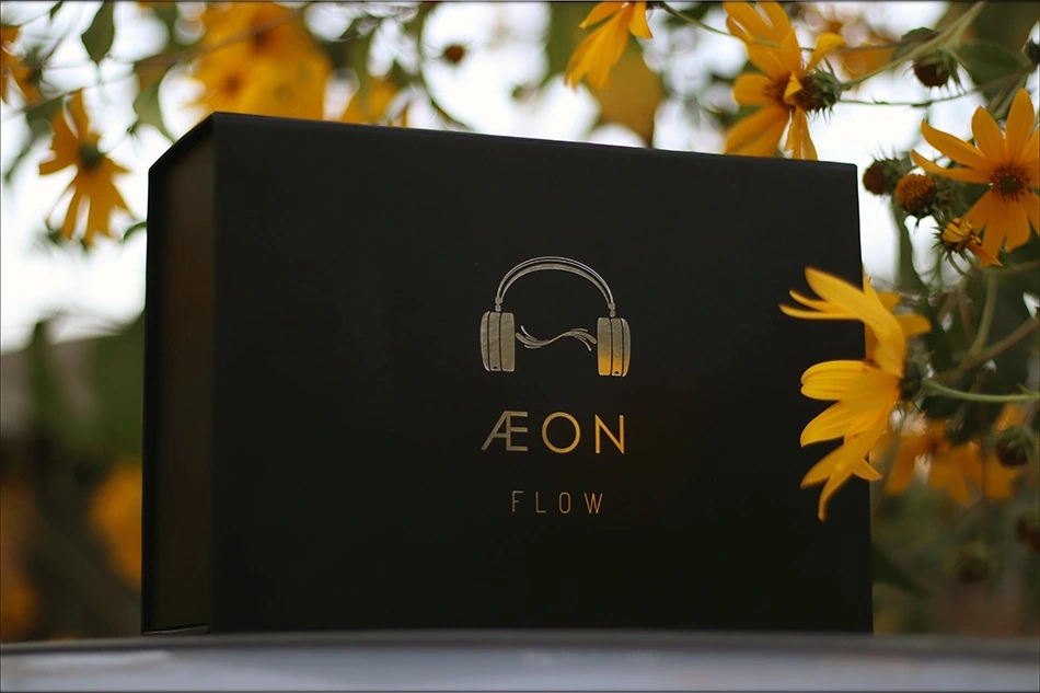 Dan Clark Aeon Flow RT