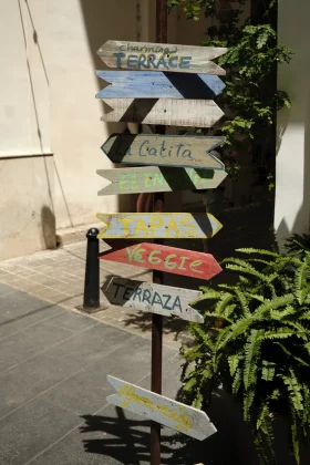 Обзор Fujifilm X-E5: идеальная альтернатива X100VI фото