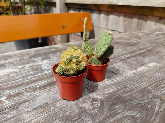 Обзор Galaxy A36 5G: оказывается, «середнячки» умеют удивлять фото