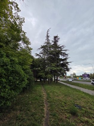 Обзор Galaxy S25 Edge: ультрасовременный флагман без сюрпризов фото