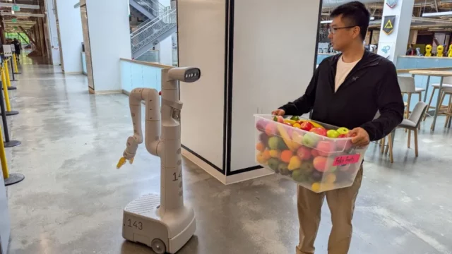 Gemini Robotics On Device