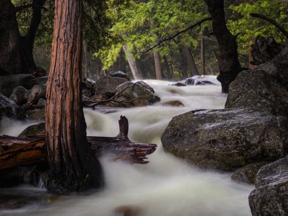 Project Indigo позволит iPhone делать более качественные снимки