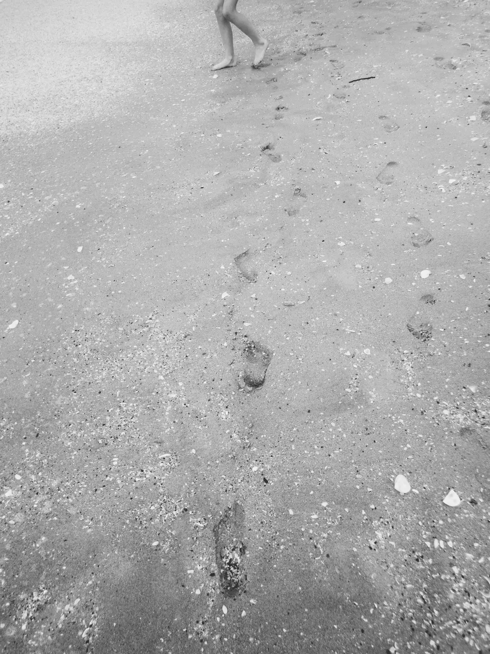 Я профессиональный фотограф, но влюбился в компактную камеру OM System Tough TG-7 3