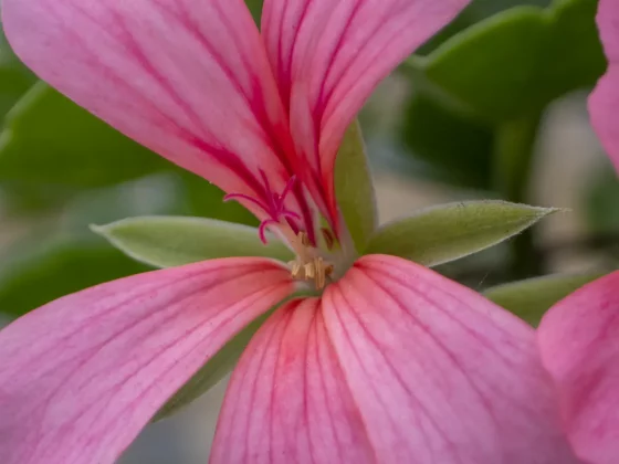 экшн-камера