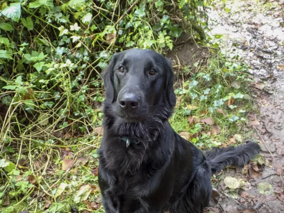 экшн-камера