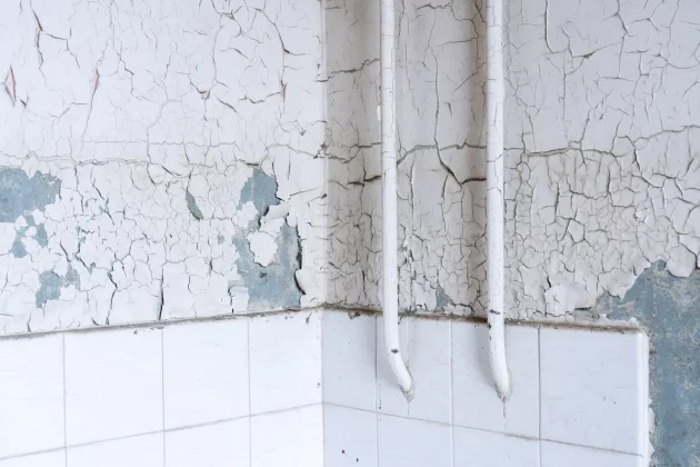 камера для фото