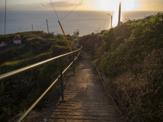 камера для фото