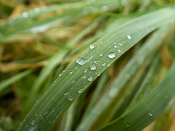 камера для путешествий