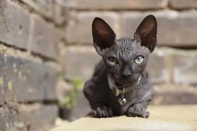 камера для путешествий