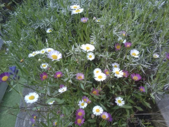 камеры для детей