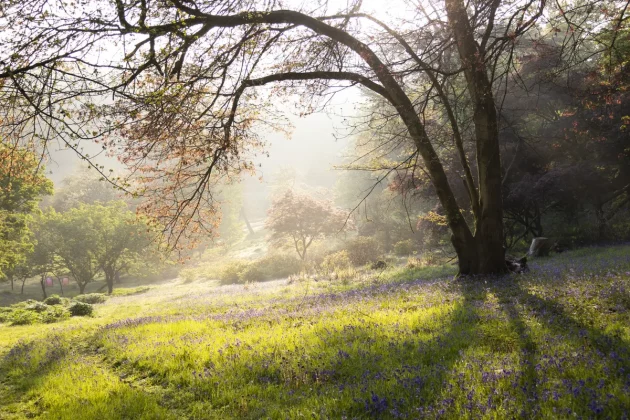 камеры для детей