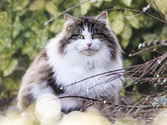 камеры для детей