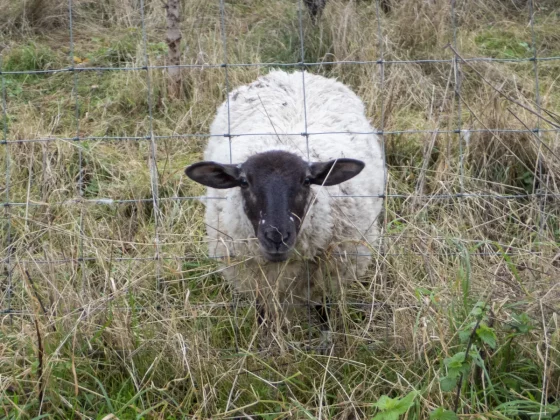 камеры для детей