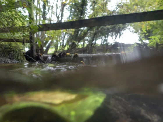 камеры для детей