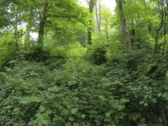 камеры для детей