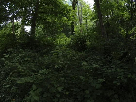 камеры для детей