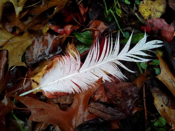 камеры для детей