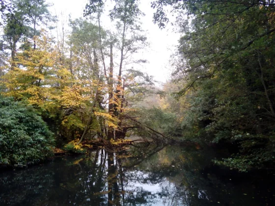 камеры для детей