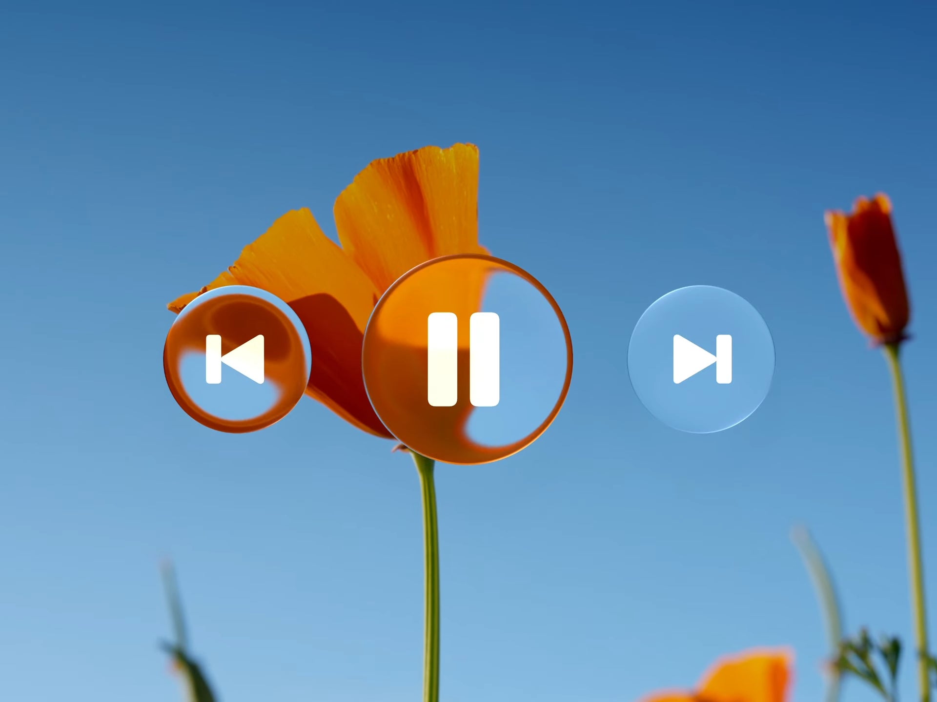 iOS 26 с Liquid Glass: красиво, но проблематично картинка Liquid Glass