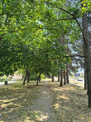 Motorola Edge (2025) против Motorola Edge (2024)